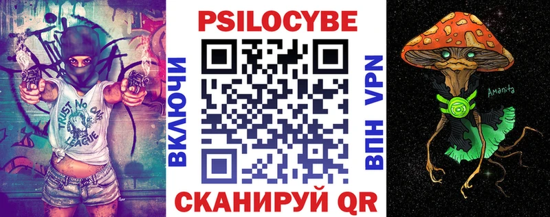 где найти наркотики  Владимир  это формула  Галлюциногенные грибы прущие грибы 